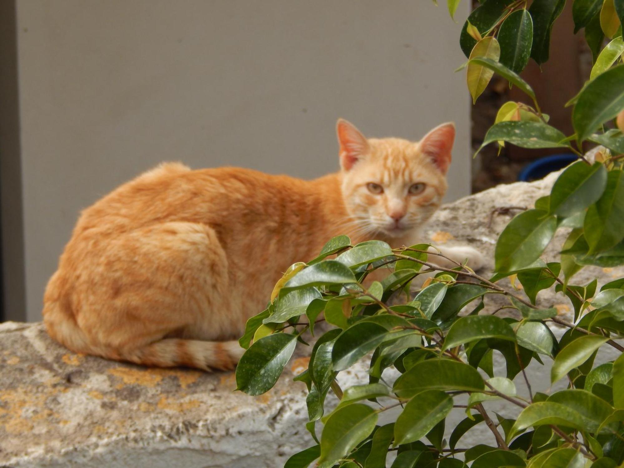Ferienwohnung Nel Giardino Di Nunziatina Syrakus Exterior foto