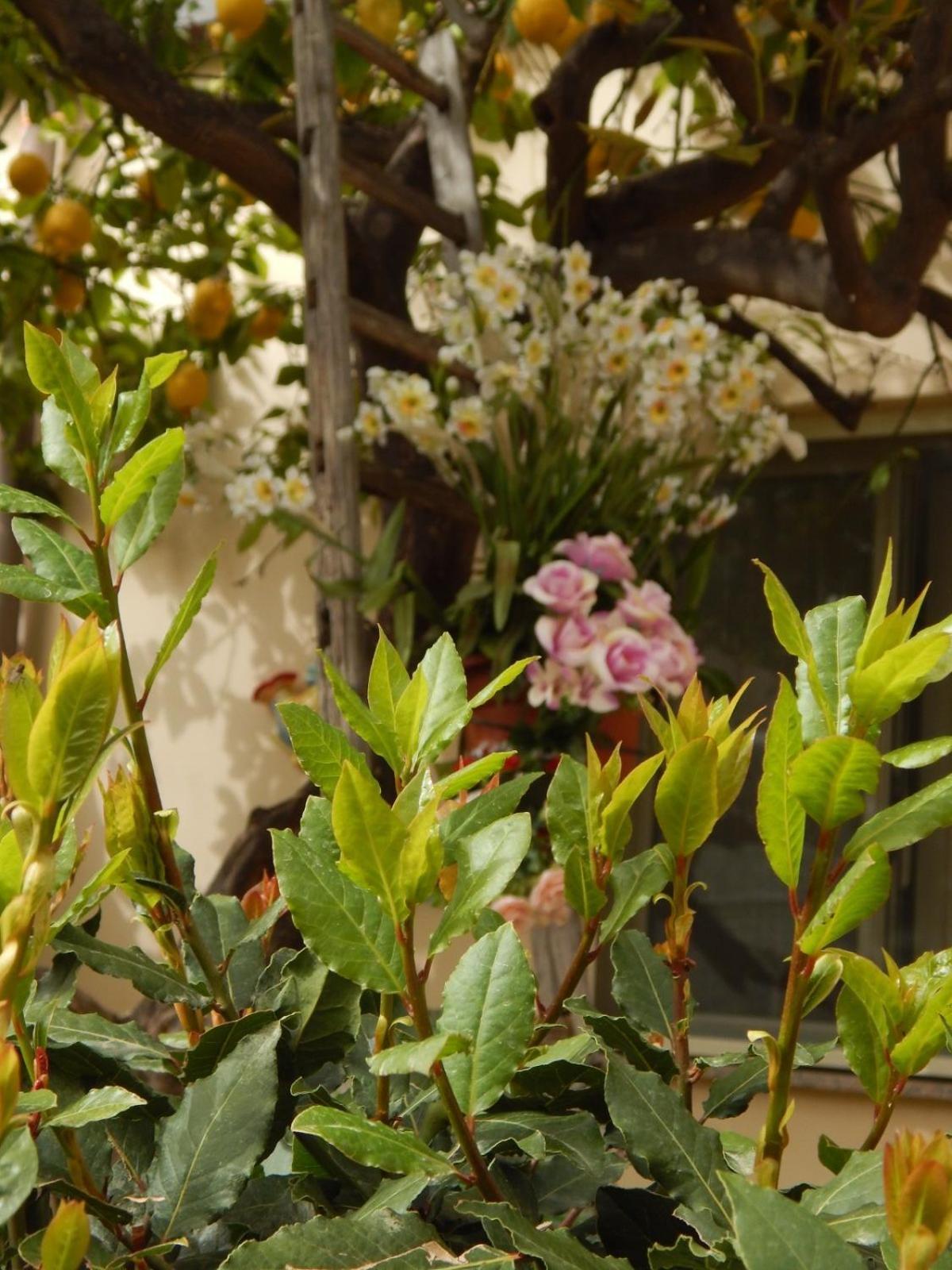 Ferienwohnung Nel Giardino Di Nunziatina Syrakus Exterior foto