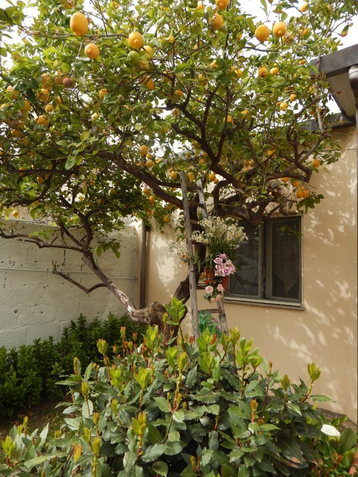 Ferienwohnung Nel Giardino Di Nunziatina Syrakus Exterior foto