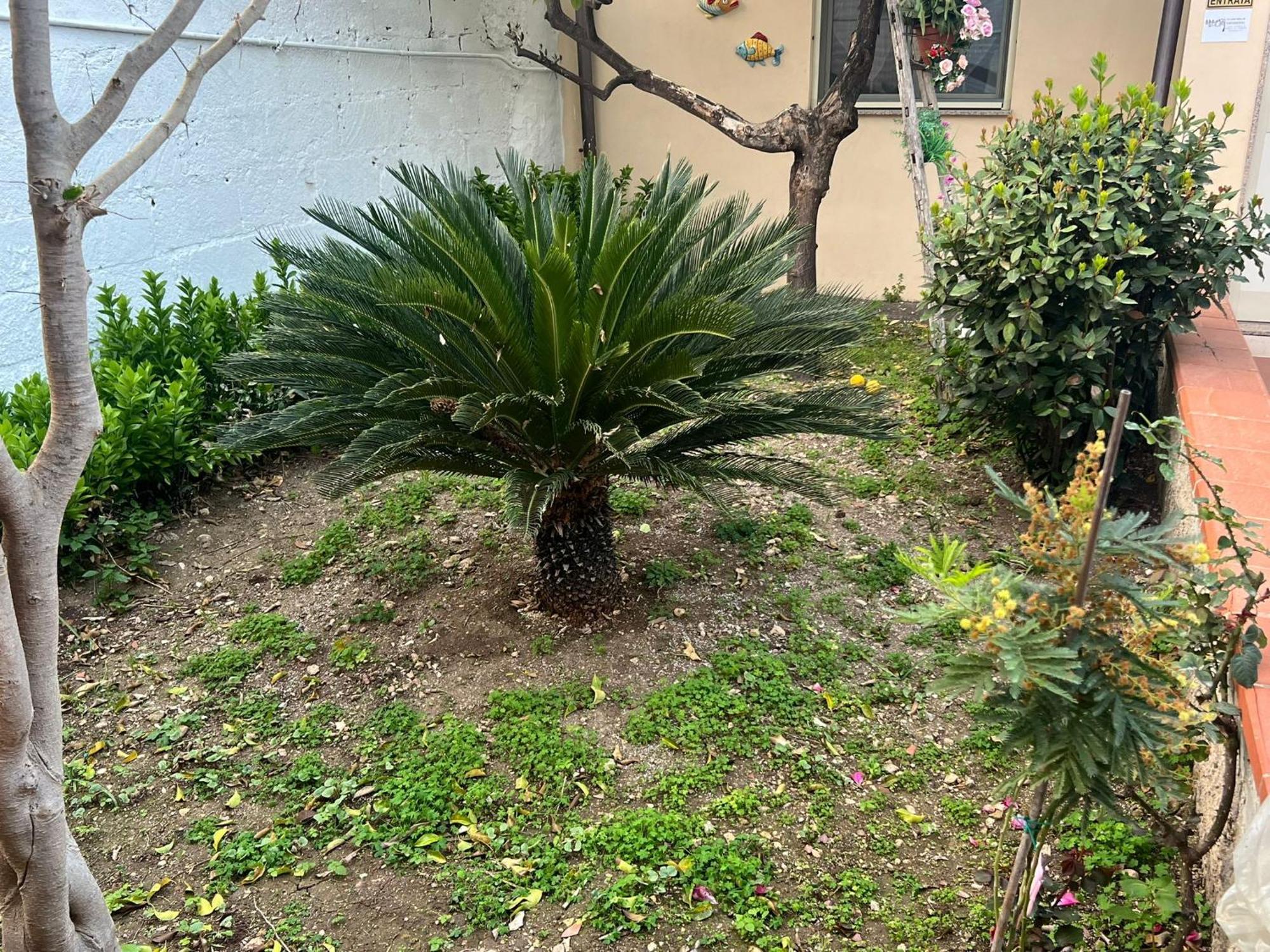 Ferienwohnung Nel Giardino Di Nunziatina Syrakus Exterior foto